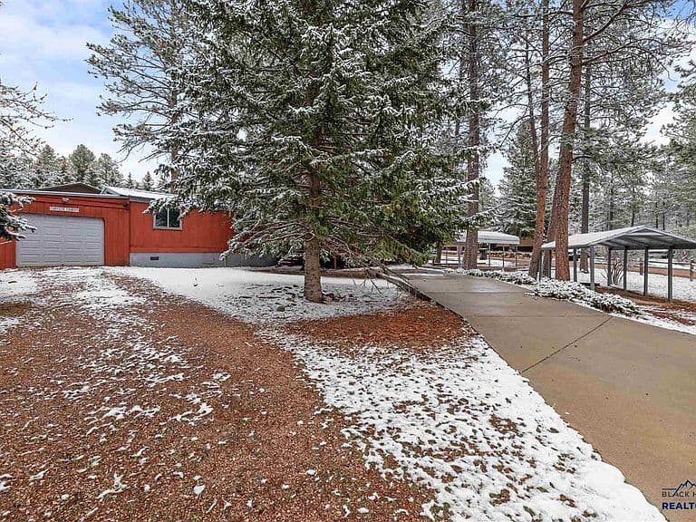 13073 Pine Cliff Cir photo 3