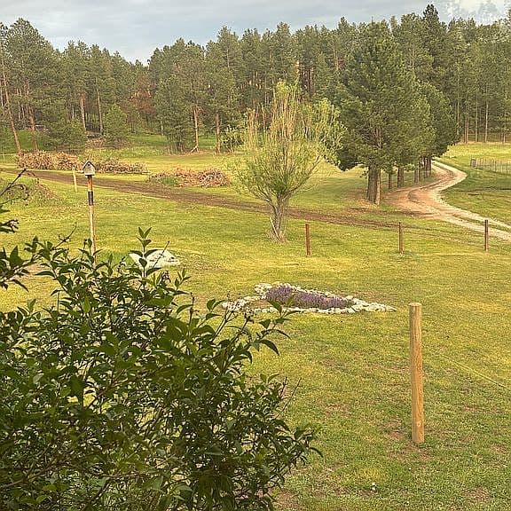 25252 Lower French Creek Rd photo 3