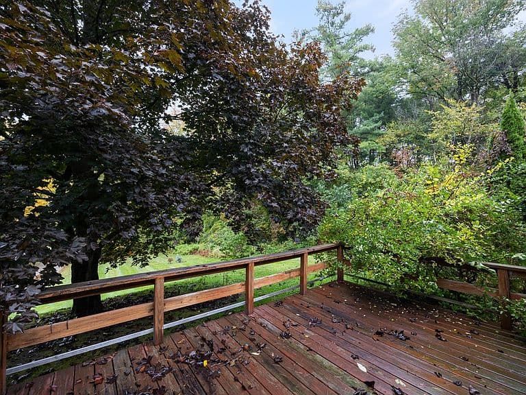 9042 Williston Road photo 5
