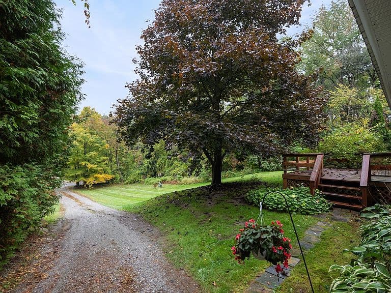 9042 Williston Road photo 3