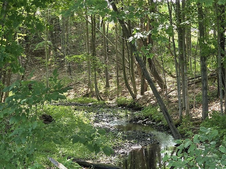 265 Longwoods Road photo 2