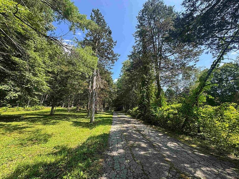 398 Tubs Road photo 4