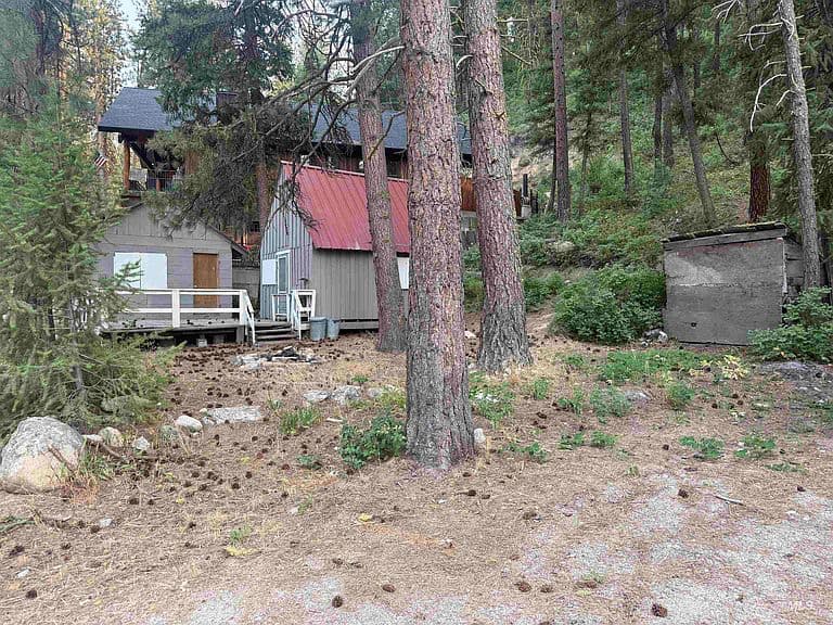 1027 Grouse Creek Rd photo 3