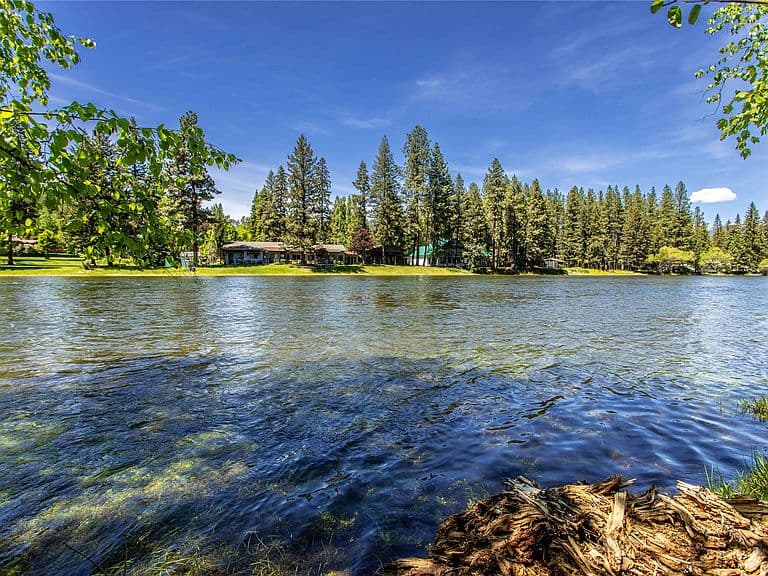 12284 Cygnet Way photo 3
