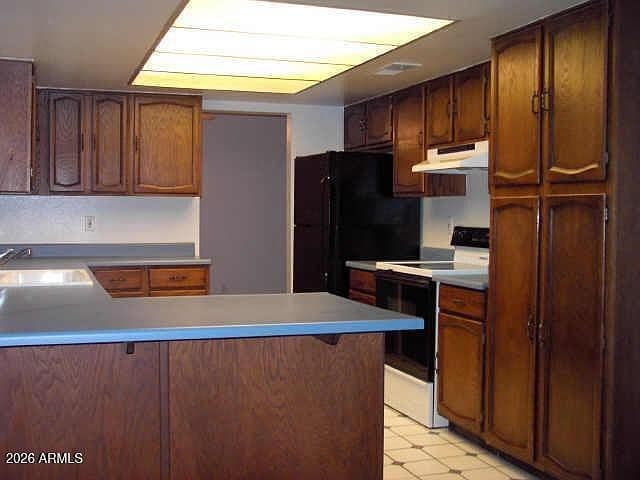 11025 N 54TH Drive photo 5
