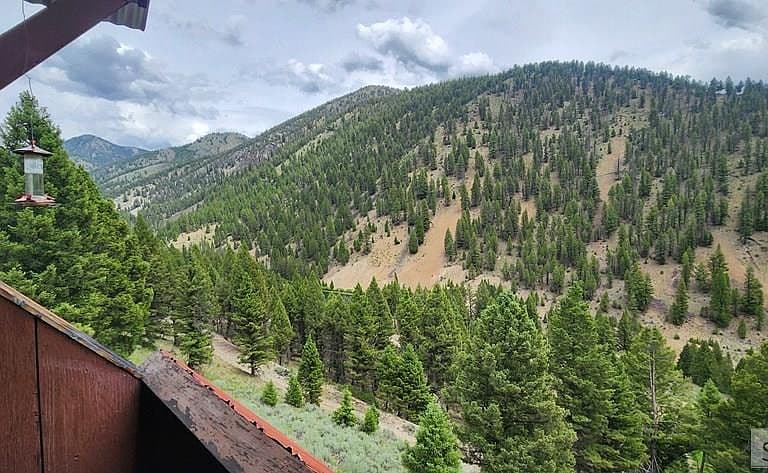 58 Bighorn Dr photo 4