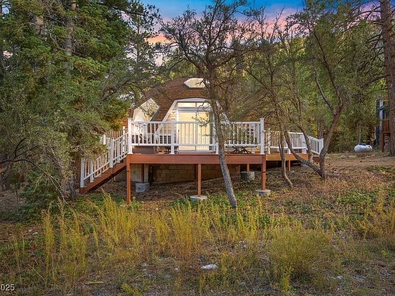 4101 Mont Blanc Way photo 1