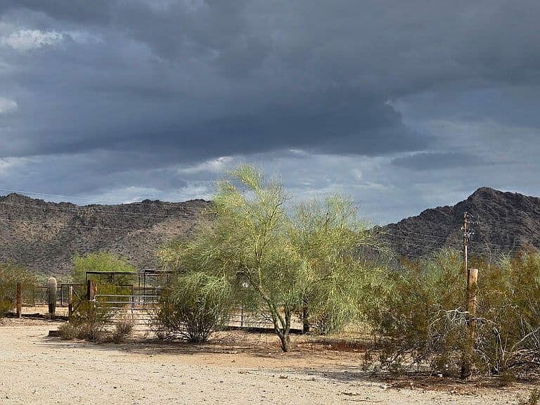 31773 N THOMPSON Road photo 5