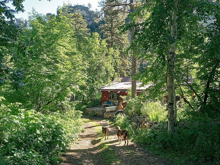 20485 Highway 14a photo 2