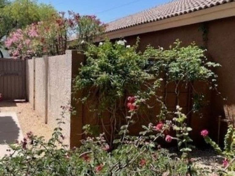 4205 E Chaparosa Way photo 2