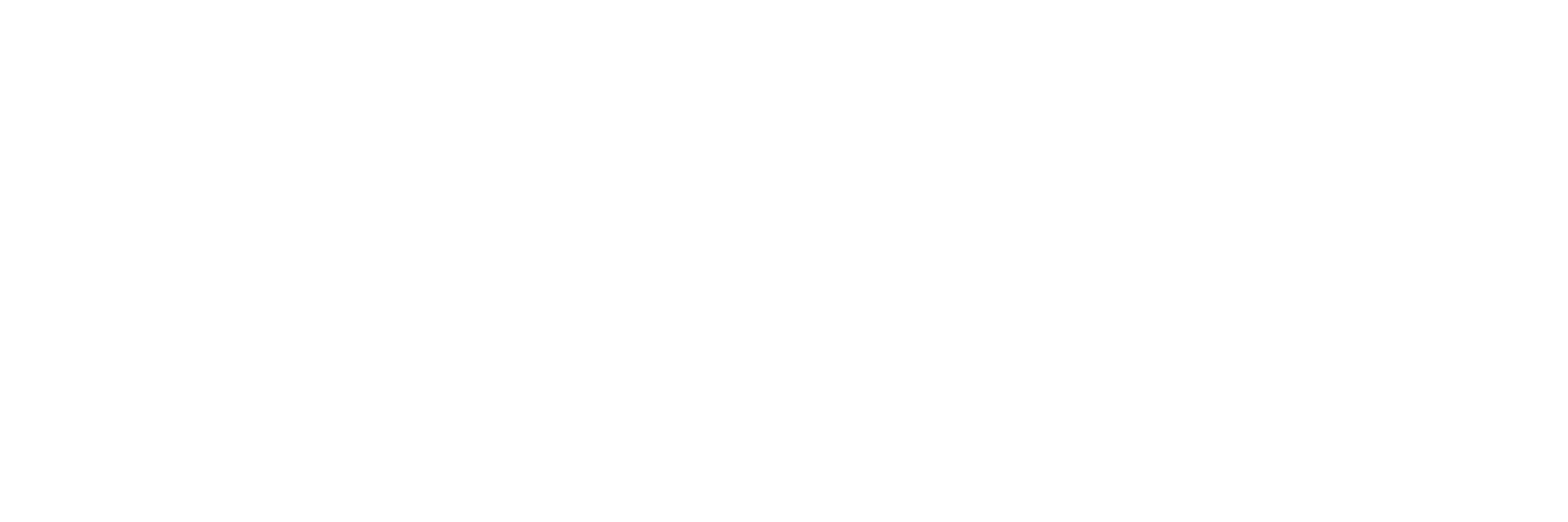 Lifetime Moving & Storage logo